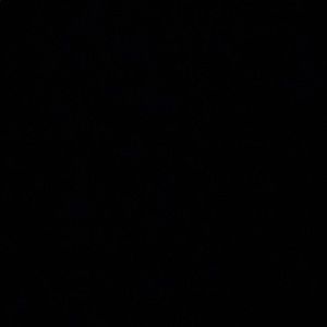 Meet your Posher, Jazmin